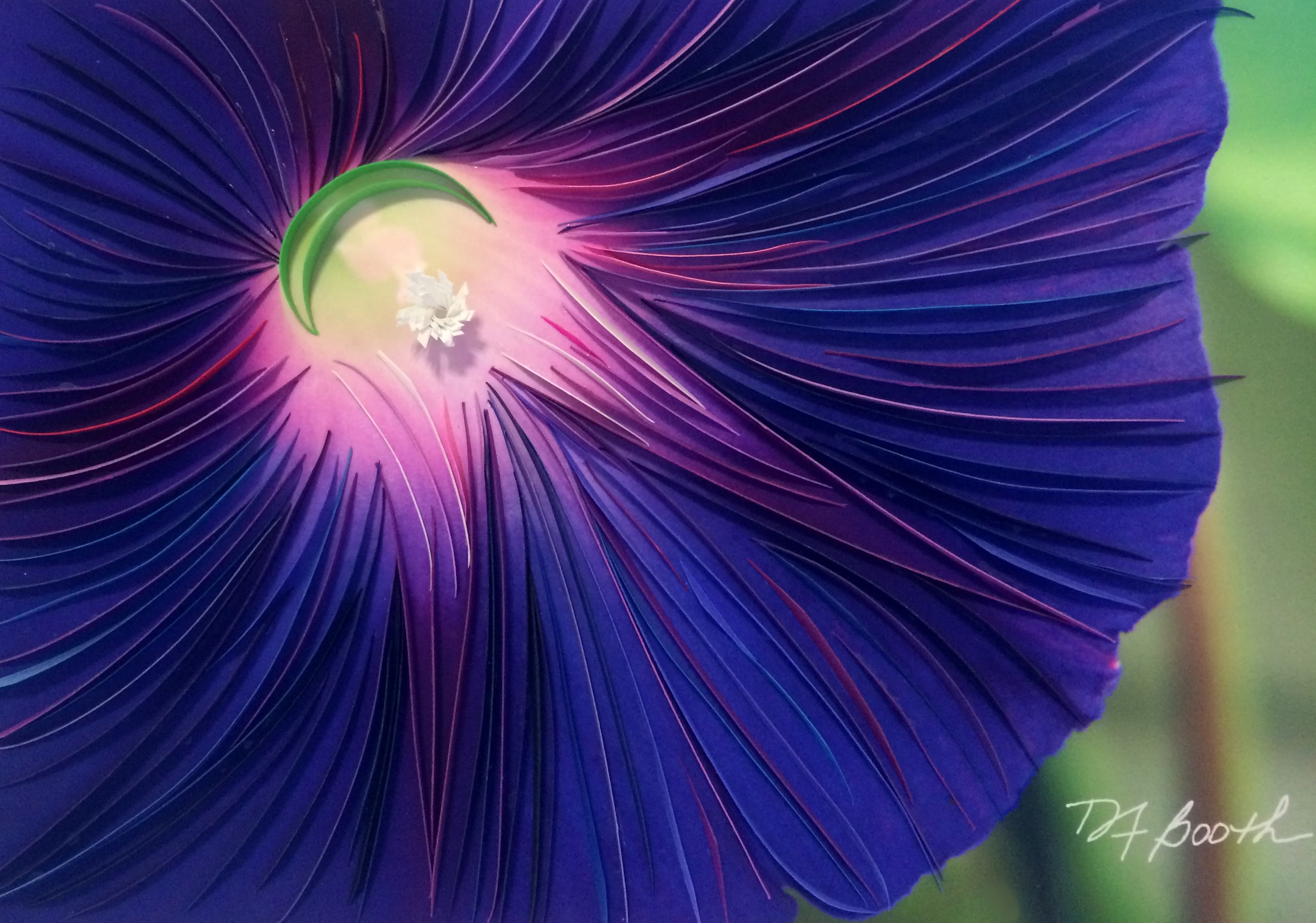 Glory In The Morning