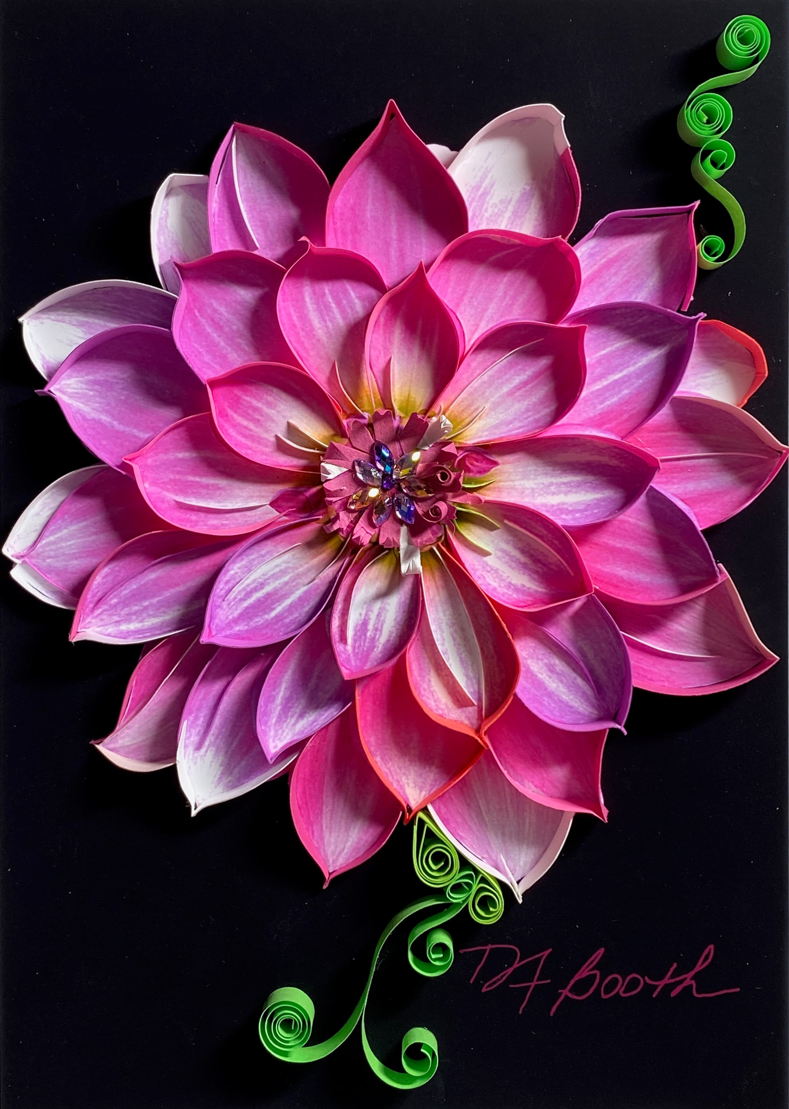 Dahlia Delight