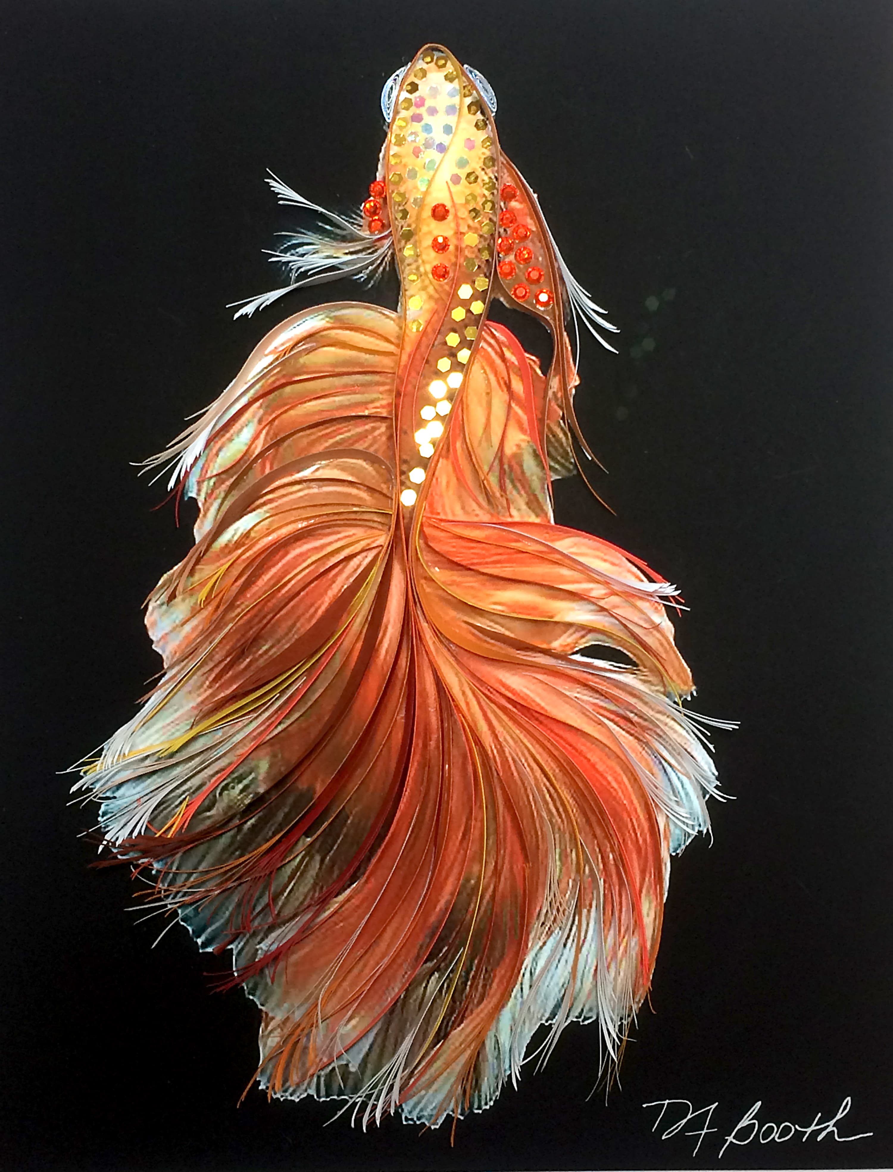 Orange You Glad You Betta