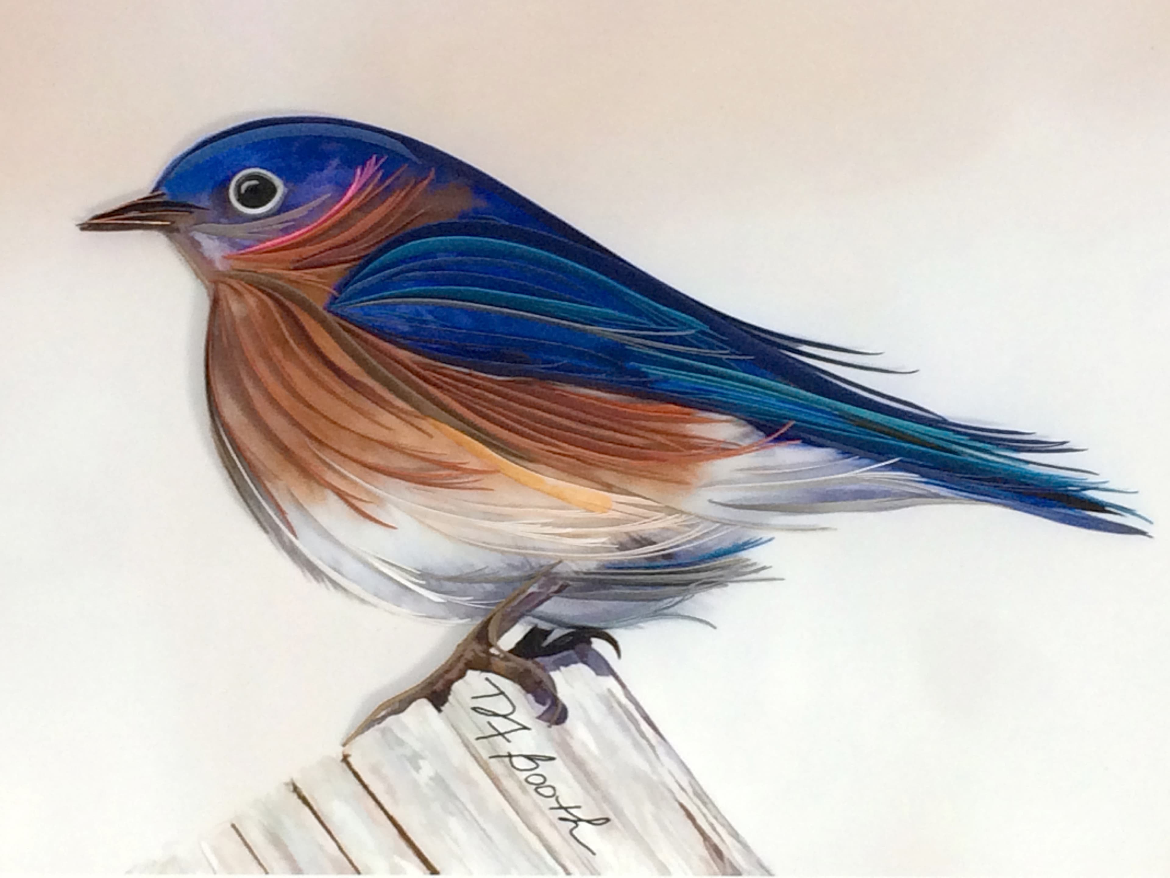 Everybody Needs A Little Bluebird